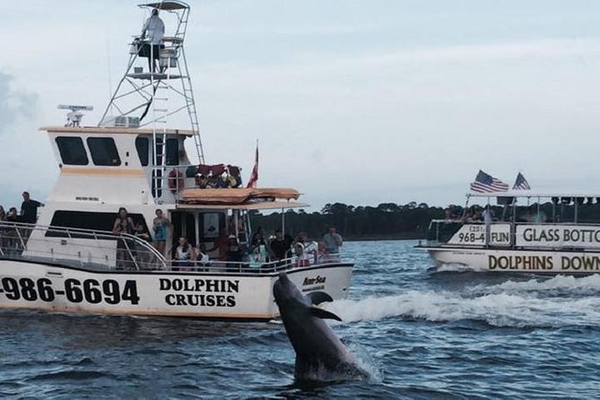 Alabama Gulf Coast Dolphin Cruise - Key Things You Should Know Before You Go