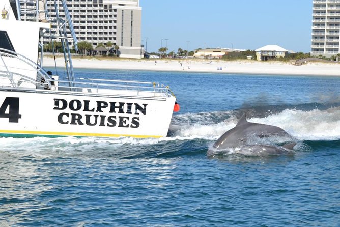Alabama Gulf Coast Dolphin Cruise - The Route Beyond Dolphin Spotting: Bay Views and Gulf Scenes