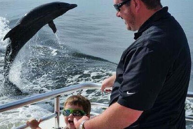 Alabama Gulf Coast Dolphin Cruise - Price and Value: What You’re Really Paying For