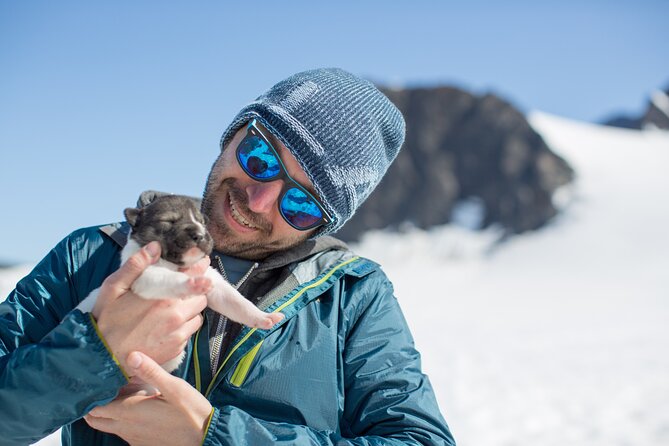 Alaska Helicopter and Glacier Dogsled Tour - ANCHORAGE AREA - Touchdown on the snow field: your hour with champion sled dogs