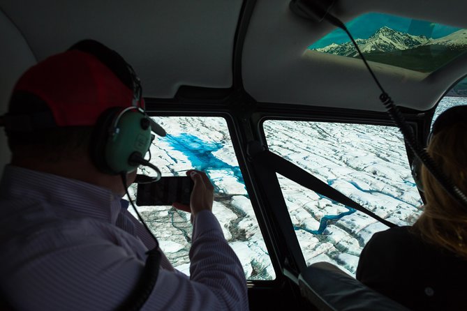 Alaska Helicopter and Glacier Dogsled Tour - ANCHORAGE AREA - Wildlife spotting from above, plus what you learn at camp