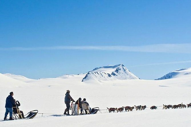 Alaska Helicopter and Glacier Dogsled Tour - ANCHORAGE AREA - What to wear: cold, wet, and boots you did not expect