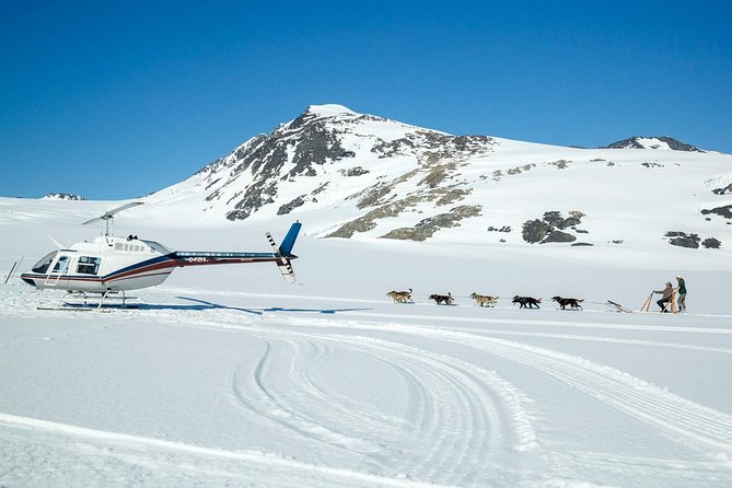 Alaska Helicopter and Glacier Dogsled Tour - ANCHORAGE AREA - Price and value: is $761.91 worth it?