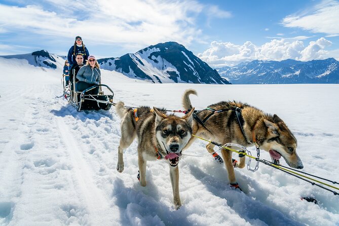 Alaska Helicopter and Glacier Dogsled Tour - ANCHORAGE AREA - The helicopter flight: Church Range to Knik Glacier views