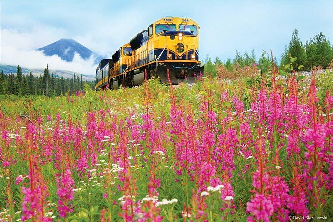 Alaska Railroad Anchorage to Seward Round-Trip Same Day Return - Price and Value: What $226 Covers (and What It Does Not)