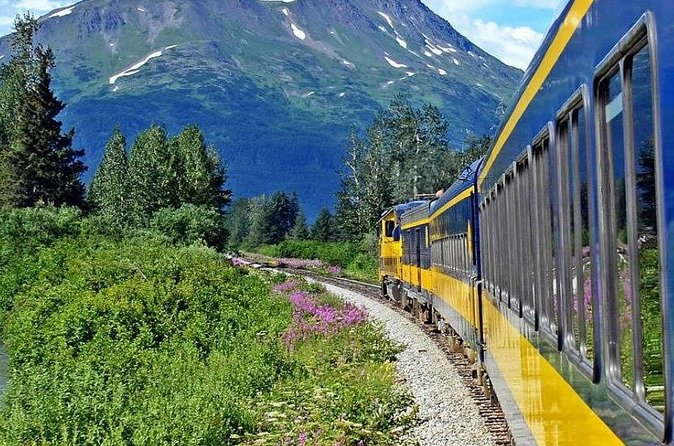 Alaska Railroad Anchorage to Seward Round-Trip Same Day Return - Seward Time on Your Own: Make the Most of the Fixed Re-Board Window