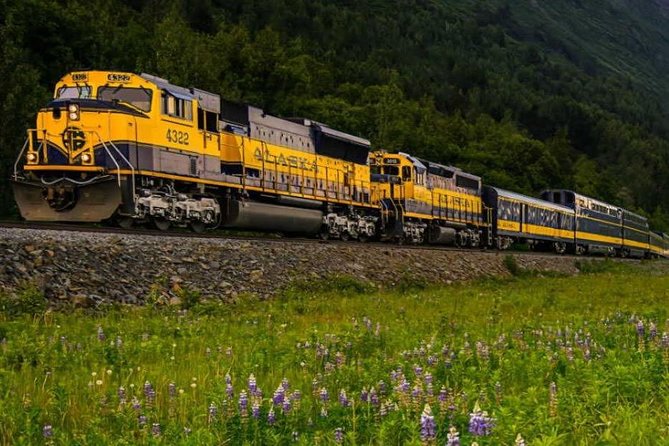 Alaska Railroad Anchorage to Seward Round-Trip Same Day Return - Who This Alaska Railroad Day Trip Fits Best (and Who Should Think Twice)