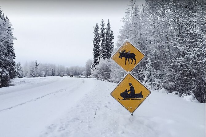 Alaska Snowmobile Adventure Tour - Why North Pole Snowmobiling Feels Special Near Fairbanks
