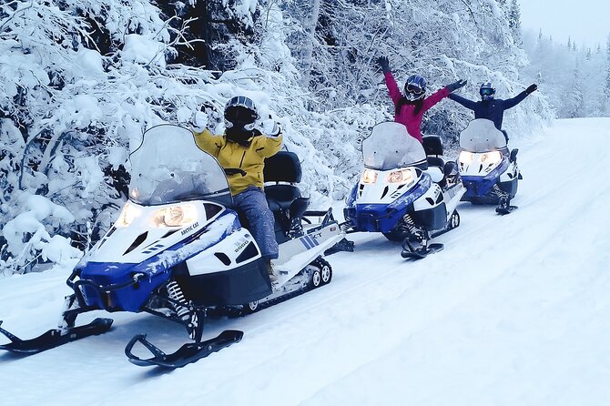 Alaska Snowmobile Adventure Tour - Stop 2 in Chena River Lakes Recreation Area: Frozen Water, Wildlife Chances, and Real Views