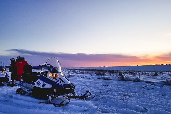 Alaska Snowmobile Adventure Tour - Value Check: Is $112.50 Worth It for a 90-Minute Snowmobile Tour?
