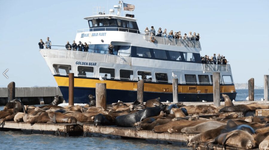 Alcatraz Island Prison Tour & Bay Cruise Combined Package - Bay Cruise Route, Golden Gate Bridge From Water Level