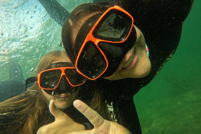 All-Inclusive Small Group Manatee Swim with Free Photos - Kings Bay manatees, but with a small-group feel