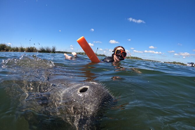 All-Inclusive Small Group Manatee Swim with Free Photos - The boat ride through King’s Bay: where the day’s rhythm is set