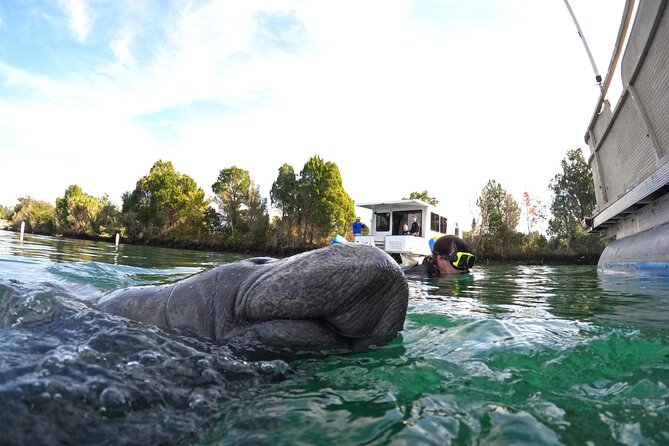 All-Inclusive Small Group Manatee Swim with Free Photos - Before you get in: check-in, gear up, and learn the manatee rules