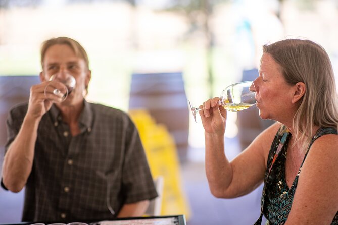 All-Inclusive Social Wine Tour - The Real Superpower: Drivers Who Keep It Fun and Moving