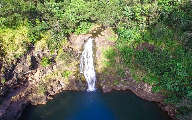All Inclusive Ultimate Circle Island Tour, Waimea Falls & Lunch - Getting Oriented: Waikiki, Kapiolani Park, and the Diamond Head Drive-By
