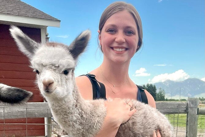 Alpaca and Llama Farm Tour - Feeding, Walking, and Bathing Alpacas and Llamas, With Real Guidance