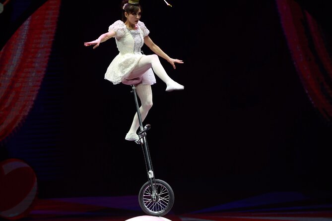 Amazing Acrobats: Grand Shanghai Circus Show in Branson - Showflow and Intermission: How the Night Moves in Two Acts