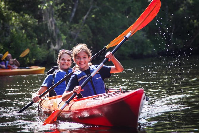 Amelia Island Guided Kayak Tour of Lofton Creek - Key things to know before you paddle
