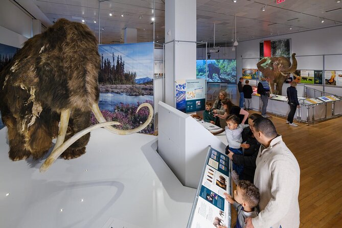 American Museum of Natural History Admission Ticket - Entering AMNH: How This Ticket Actually Works on Arrival