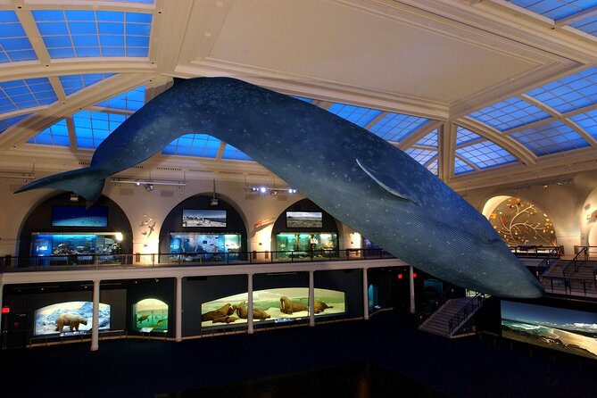 American Museum of Natural History Admission Ticket - What General Admission Covers, and What Needs Extra Tickets
