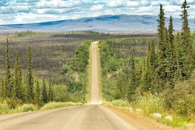 Arctic Circle Day Tour - Key Highlights You Should Know