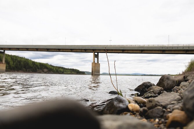 Arctic Circle Day Tour - Van Comfort, Timing, and the Real Value of the $305 Price