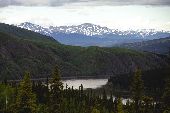 Arctic Circle Day Tour - Dalton Highway Drive: Pipeline, Yukon River, and Wildlife Odds