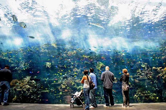 Atlanta CityPASS® - Where to group stops in Atlanta, so you waste less time