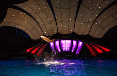 Atlanta: Georgia Aquarium Skip-the-Box-Office Entry Ticket