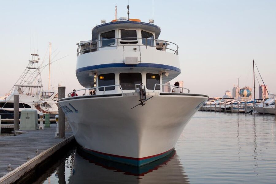 Atlantic City: Dolphin Watching Ocean Cruise Adventure - Seasickness, wind, and what to wear for a comfortable deck