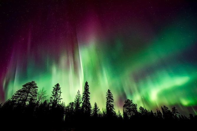 Aurora Viewing Lodge - A Warm Lodge Makes the Aurora Hunt Feel Less Miserable