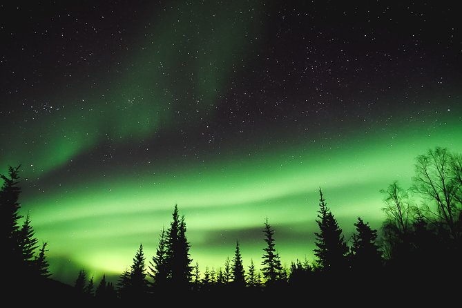 Aurora Viewing Lodge - Price, Timing, and How the Pickup Works in Fairbanks