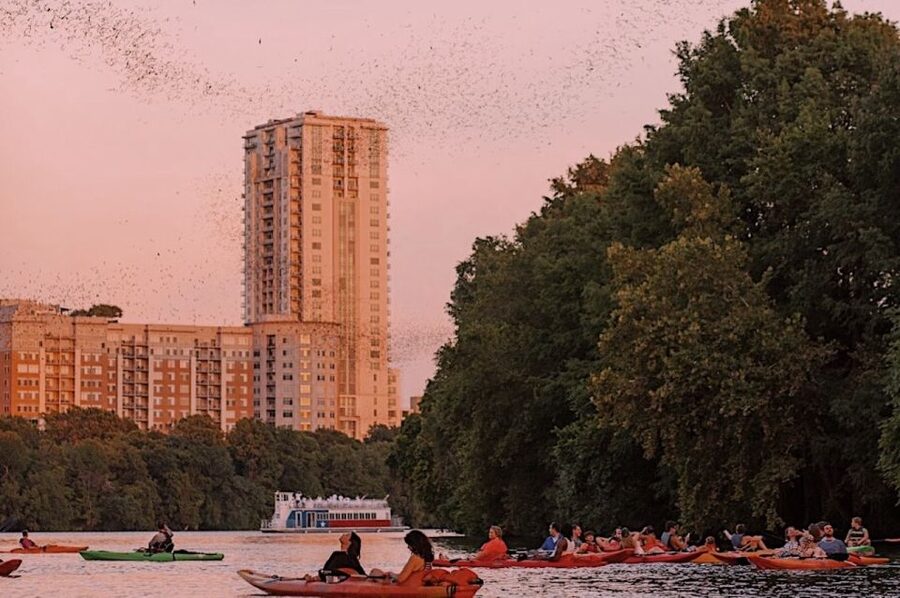 Austin: Sunset Bat Watching Kayak Tour - Key things to know before you paddle