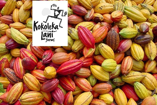 Award Winning Farm Tour: Coffee, Chocolate and Unique Gifts - Group Size, Who It Fits, and Who Should Skip It