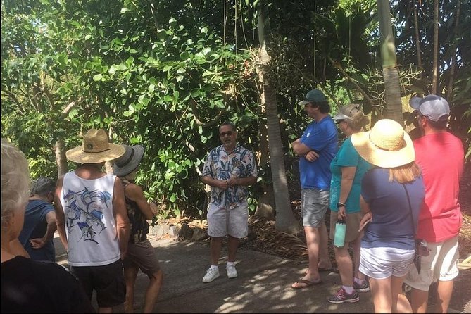 Award Winning Farm Tour: Coffee, Chocolate and Unique Gifts - The Walking Tour Through Kona Coffee and Cacao
