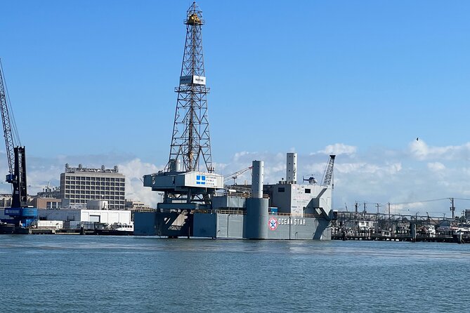 Baywatch Dolphin Tours – Pier 21 Galveston - Pier 21 Galveston: a quick dolphin cruise that fits real schedules