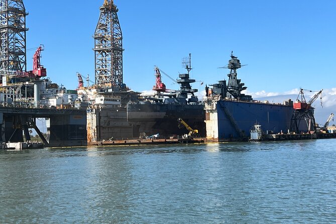 Baywatch Dolphin Tours – Pier 21 Galveston - Value for $32.20: why this price can make sense