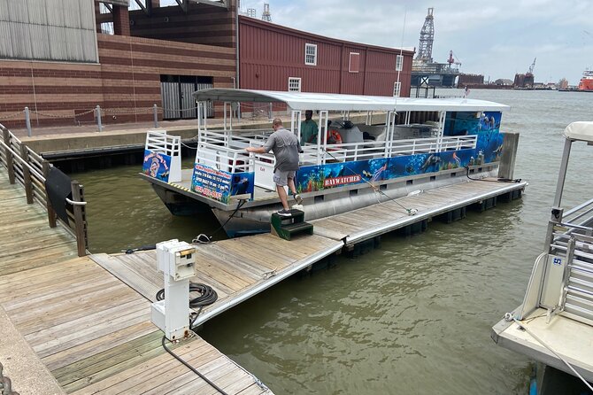 Baywatch Dolphin Tours – Pier 21 Galveston - The boat setup that makes dolphin watching more comfortable
