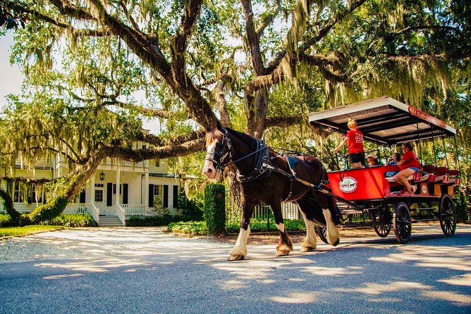 Beaufort’s #1 Horse & Carriage History Tour - Key things that make this tour worth your time