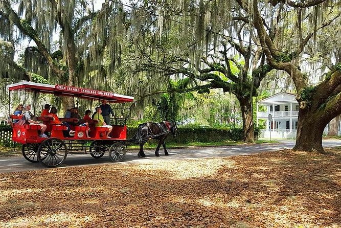 Beaufort’s #1 Horse & Carriage History Tour - Horse Details Matter: D, Angus, and Amos