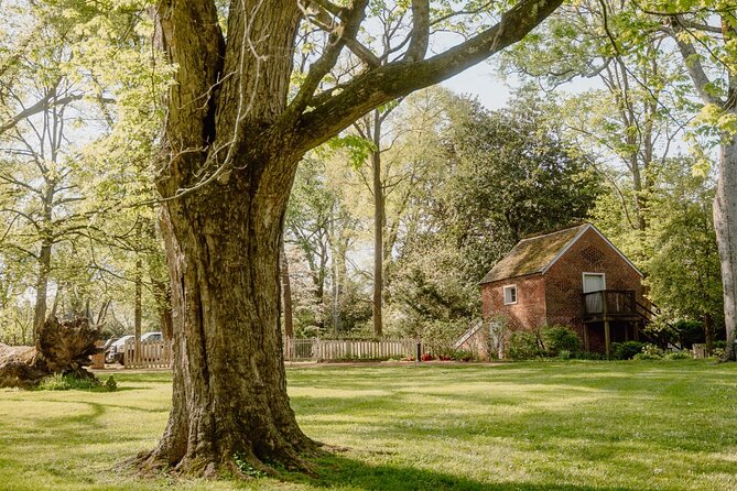 Belle Meade Guided Mansion Tour with Complimentary Wine Tasting - Belle Meade Mansion Meets Wine Tasting in Nashville