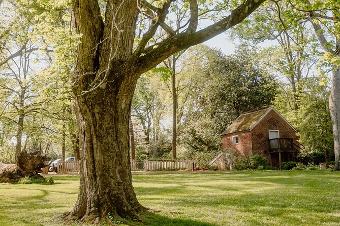 Belle Meade Guided Mansion Tour with Complimentary Wine Tasting - Horse farm and bourbon: optional adds that fit different interests