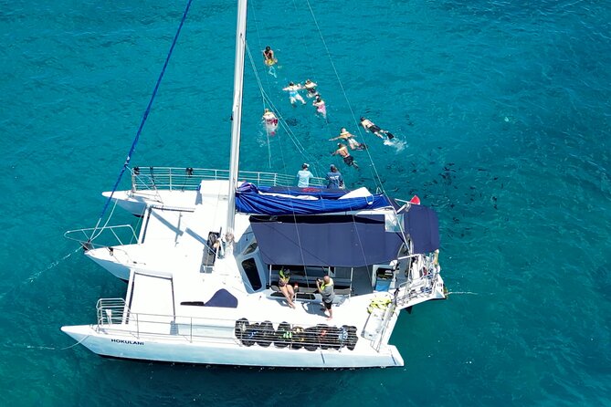 Best Waikiki Snorkel Tour: Guaranteed Turtles at Turtle Canyon - What happens during the 2-hour experience