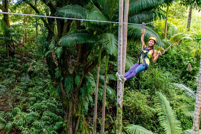 Big Island: 8-Zipline & Suspension Bridge Waterfall Adventure - Zip Isle and Botanical World: What You Get in About 2.5 Hours