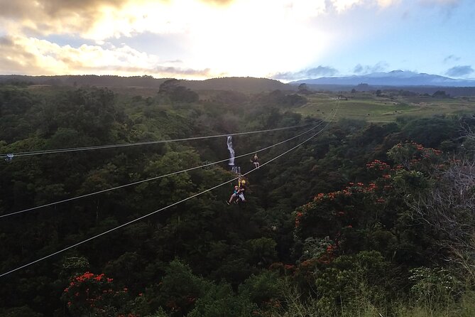 Big Island: 8-Zipline & Suspension Bridge Waterfall Adventure - Meeting Point in Hakalau: Getting There Without Stress