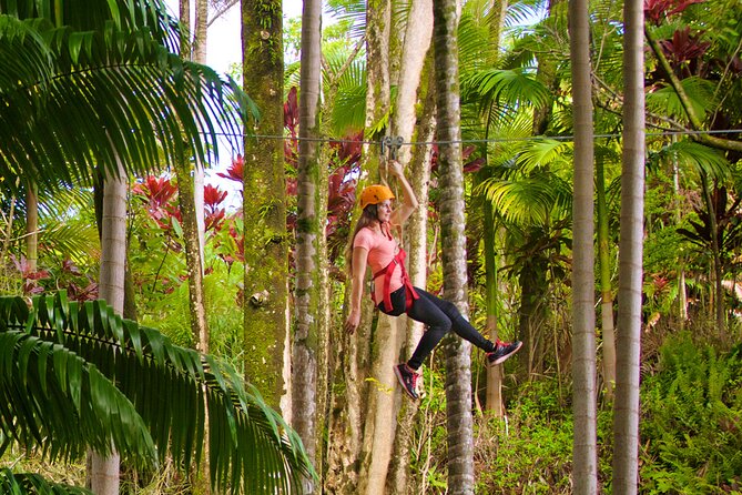Big Island: 8-Zipline & Suspension Bridge Waterfall Adventure - The Kamaee Falls Finale: Racing Side-By-Side Over a Half-Mile Run