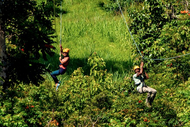 Big Island: 8-Zipline & Suspension Bridge Waterfall Adventure - After the Zips: Gardens, Rainforest Trail, and the Living Maze