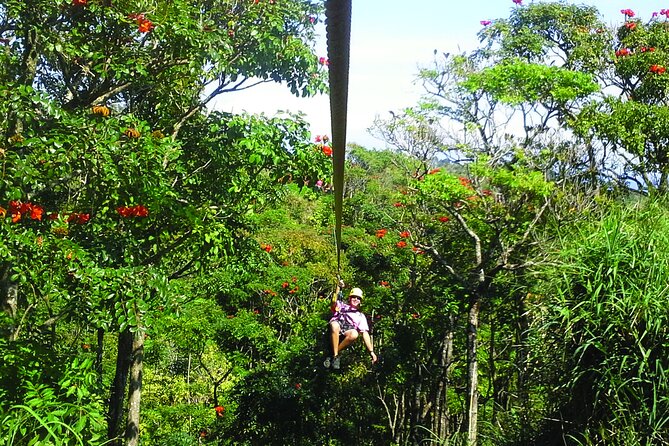 Big Island: 8-Zipline & Suspension Bridge Waterfall Adventure - Botanical World Adventures Start: Harness Up and Learn the Rules