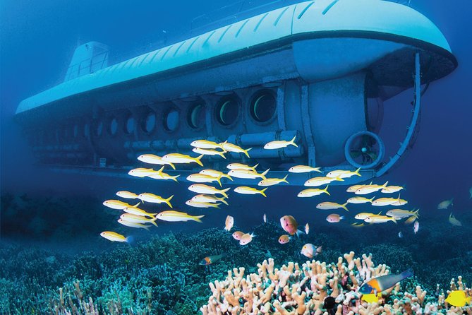 Big Island: Atlantis Submarine from Kona Beach - Depth, ride smoothness, and motion sickness myths